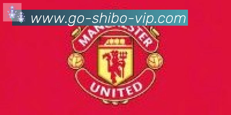 世博体育官网合作伙伴